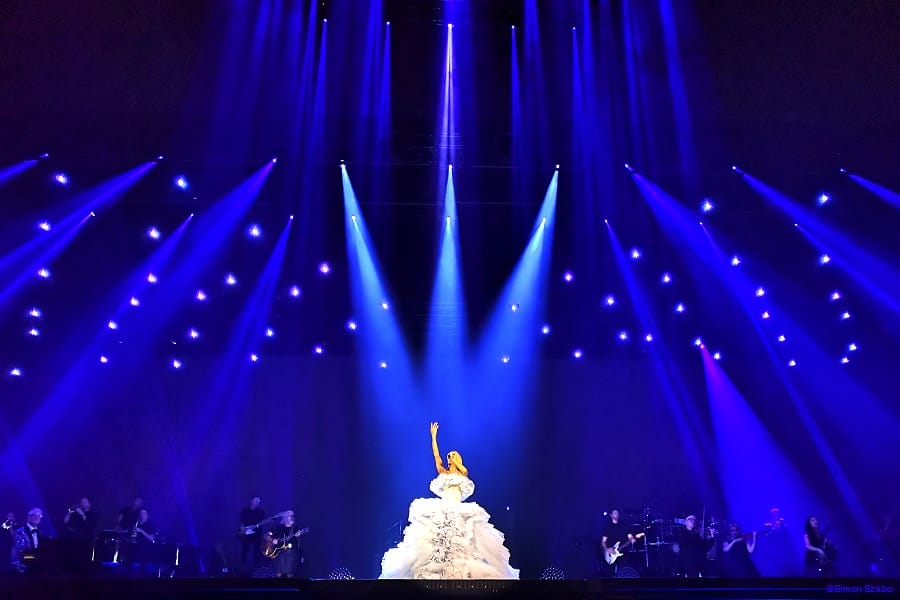 Verity Drones at Celine Dion World Tour